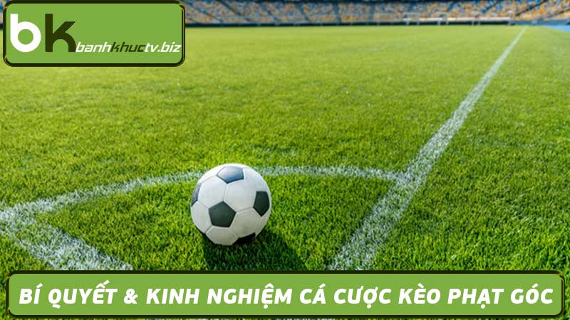 Cá Cược Kèo Phạt Góc Bí Quyết & Kinh Nghiệm Đỉnh Cao