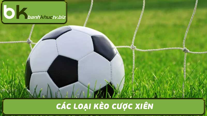 Cược Xiên Là Gì & Những Điều Cần Biết Khi Tham Gia