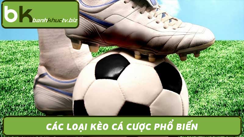 Tỷ Lệ Kèo Cá Cược Online - Kèo Ngoại Hạng Anh, La Liga...