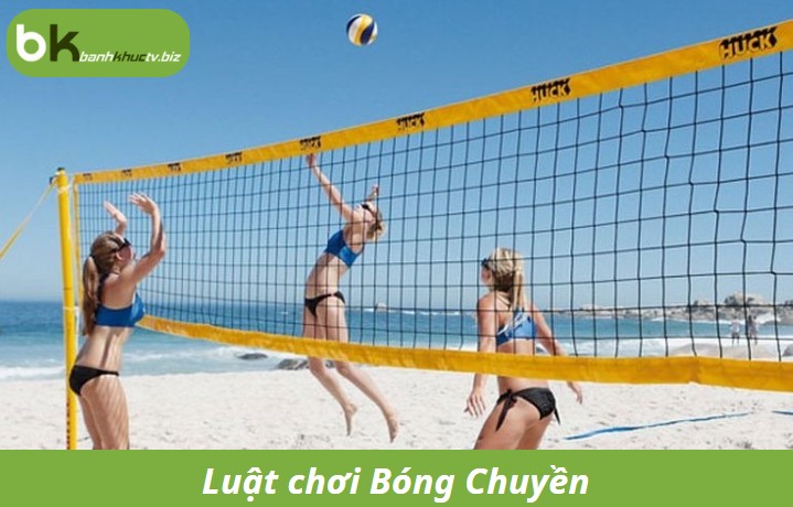 Luật chơi Bóng Chuyền ẩn cần nắm rõ nhất - Ảnh số 2 Luật chơi Bóng Chuyền ẩn cần nắm rõ nhất
