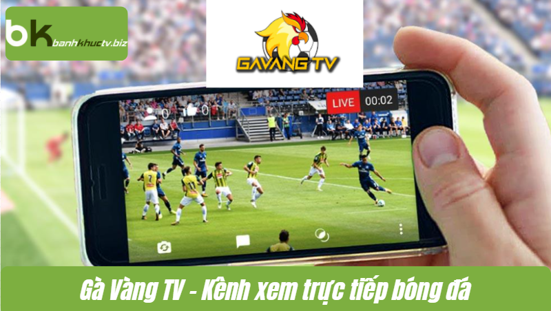 Gà Vàng TV – Điểm đến lý tưởng cho người hâm mộ bóng đá